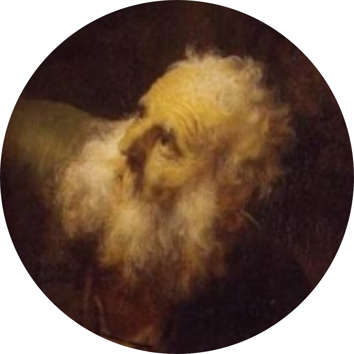 DavidKim's avatar
