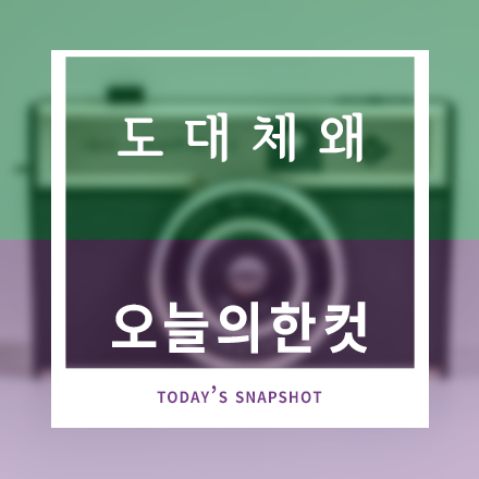 도대체왜